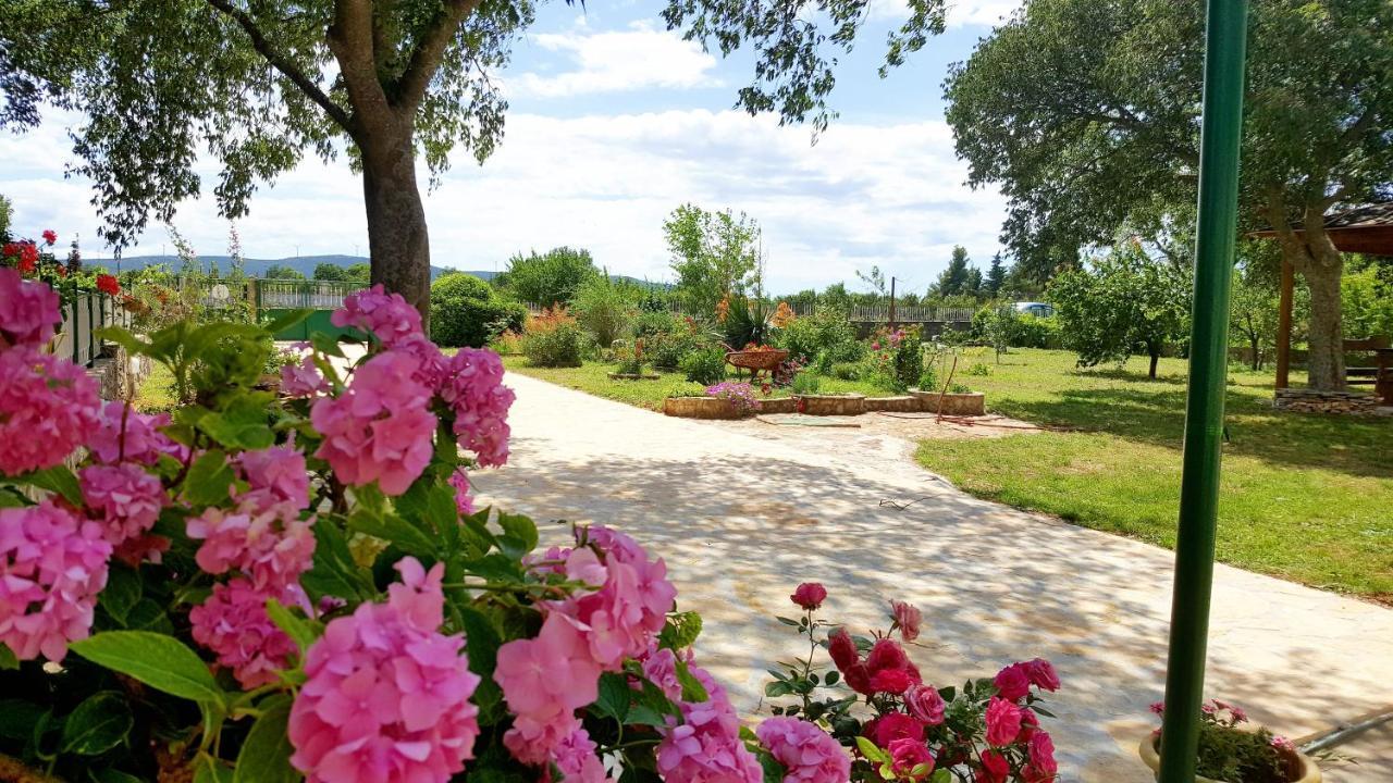 Village House Fafarinka - Close To Krka National Park Konjevrate Ngoại thất bức ảnh