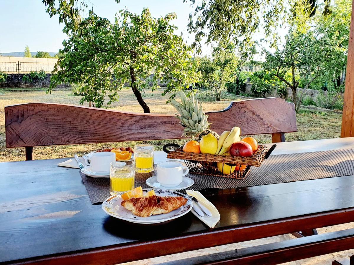 Village House Fafarinka - Close To Krka National Park Konjevrate Ngoại thất bức ảnh